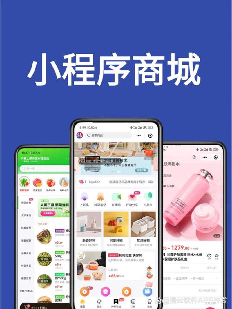 小程序开发：移动时代的创新风向标